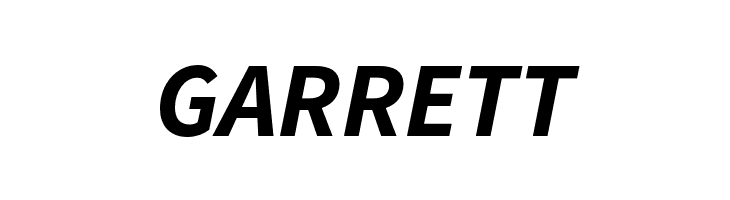 Source Sans Pro Bold Italic  Free Fonts Download