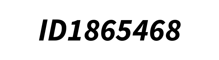 Source Sans Pro Bold Italic  Free Fonts Download