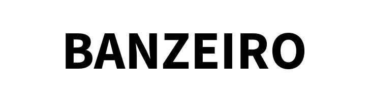 Source Sans Pro Bold  Free Fonts Download