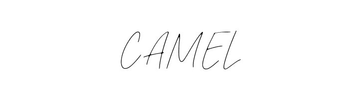 Pierce Jackson  Free Fonts Download