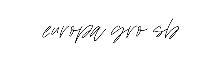 Wildfire Dreams  Free Fonts Download