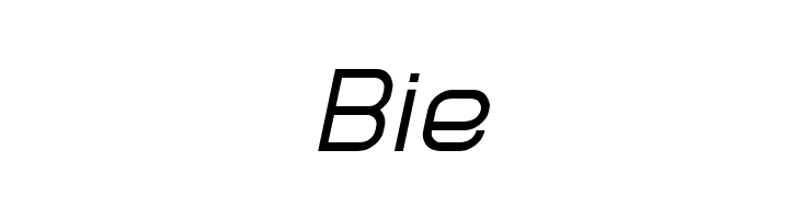 Lastwaerk regular Oblique  Free Fonts Download
