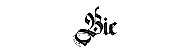 Magnific Chaos Personal Use Regular  Free Fonts Download