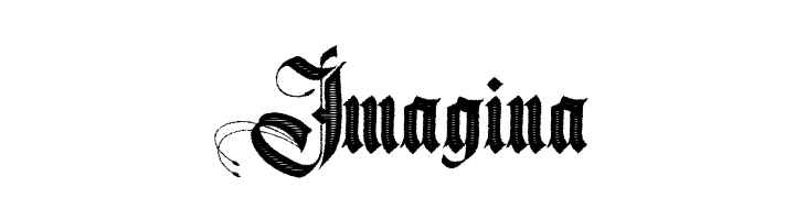 Magnific Chaos Personal Use Regular  Free Fonts Download