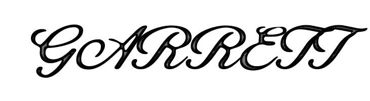 Octagon Personal Use Regular  Free Fonts Download