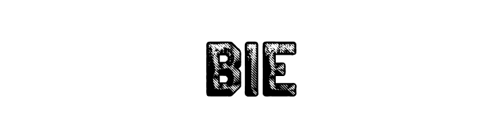 CRICKET PERSONAL USE Bold  Free Fonts Download