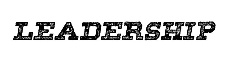 SHADOWS ITALIC PERSONAL USE Bold Italic  Free Fonts Download