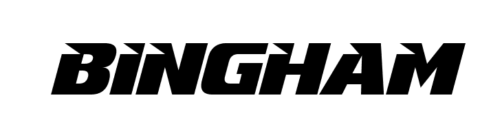 BINGHAM Infinite Justice Font