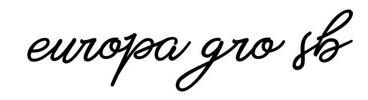 Star King  Free Fonts Download