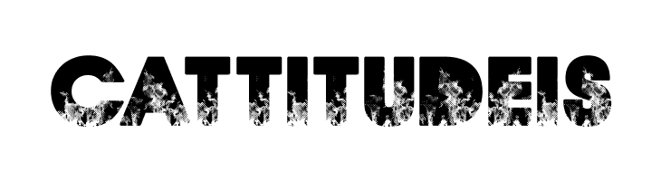 FIRES PERSONAL USE Bold  Free Fonts Download