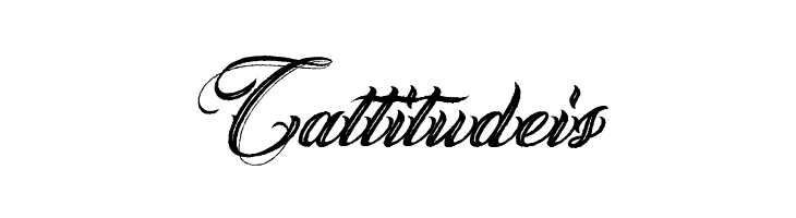 ANGELES ROUGH PERSONAL USE Bold Italic  Free Fonts Download