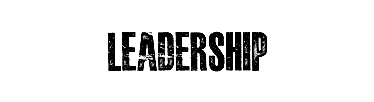 DAMAGEPLAN PERSONAL USE Bold  Free Fonts Download