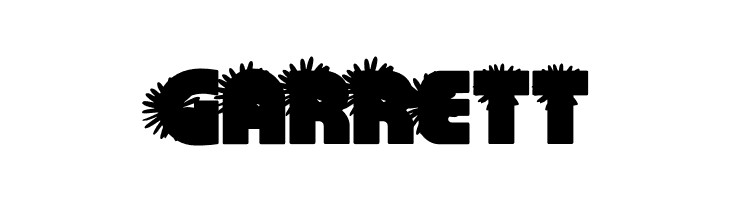 DAISYSPERSONALUSE-Bold  Free Fonts Download