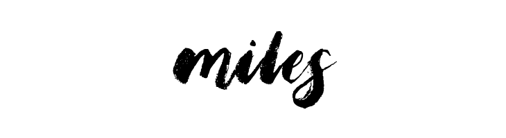 Bristle Brush Script Demo  Free Fonts Download