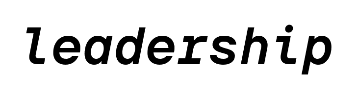 TT Interphases Pro Mono Trl Bold Italic  Free Fonts Download