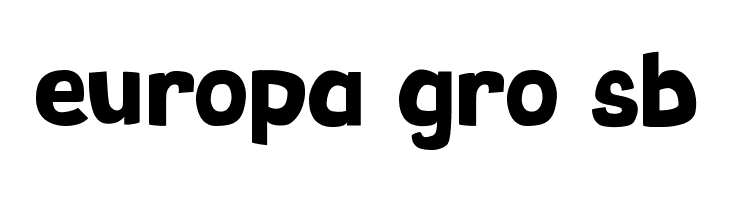 BINGO  Free Fonts Download