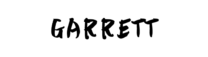 Altered Vision  Free Fonts Download