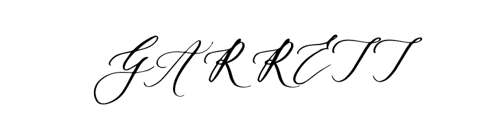 BaborRegular  Free Fonts Download