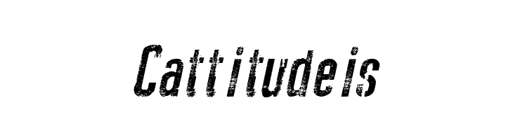 New Press Eroded Italic  Free Fonts Download