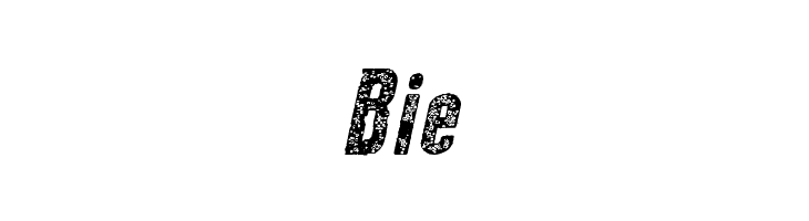 New Press Eroded Bold Italic  Free Fonts Download