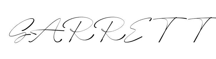 Bhasline Demo  Free Fonts Download