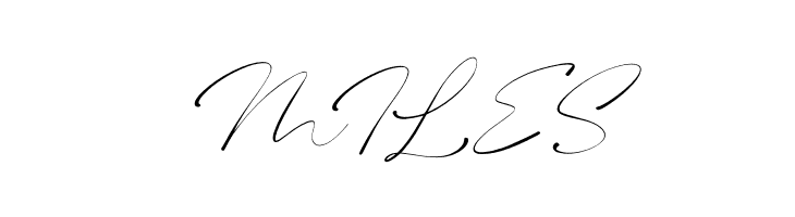 Bhasline Demo  Free Fonts Download