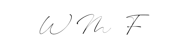 Bhasline Demo  Free Fonts Download