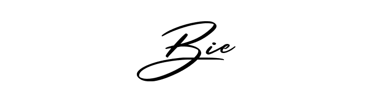 Solustion Demo  Free Fonts Download