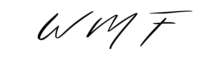 Solustion Demo  Free Fonts Download