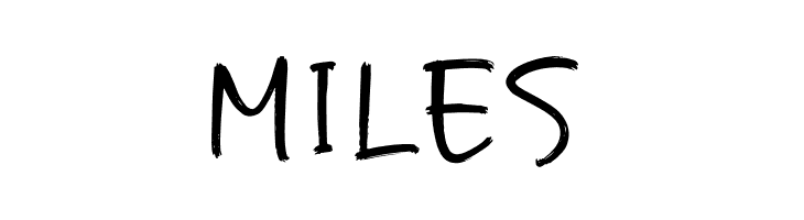 Gowhard  Free Fonts Download