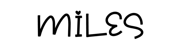 Sunflora  Free Fonts Download