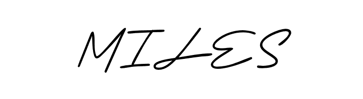 Indosign  Free Fonts Download