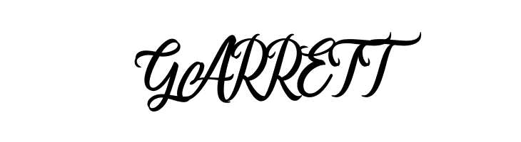 AirplaneScript  Free Fonts Download