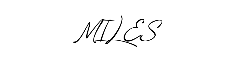 LoyaltyScriptDemo  Free Fonts Download