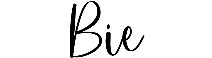 holidate  Free Fonts Download