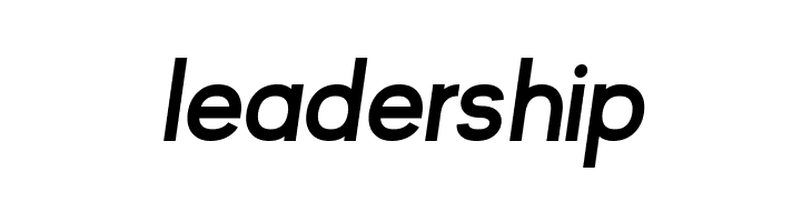 Kayak Sans Bold Italic  Free Fonts Download