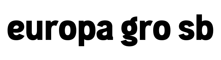 GUARANTEE  Free Fonts Download