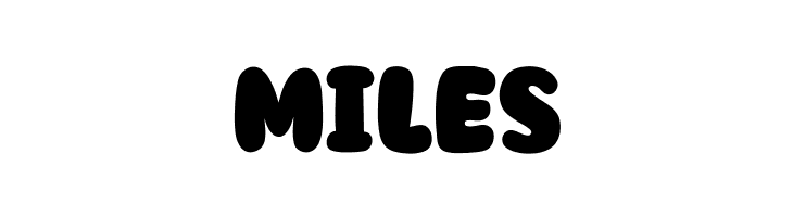 Boldreel  Free Fonts Download