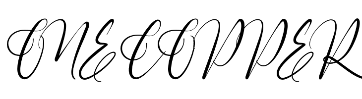 Special Night Demo  Free Fonts Download