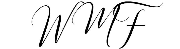 Special Night Demo  Free Fonts Download