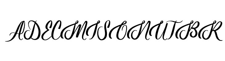 Baseliner Demo  Free Fonts Download