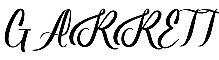 Baseliner Demo  Free Fonts Download