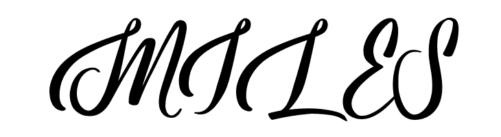 Baseliner Demo  Free Fonts Download