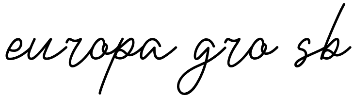 Single One Demo  Free Fonts Download