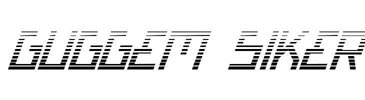 Bionic Type Grad Italic  Free Fonts Download