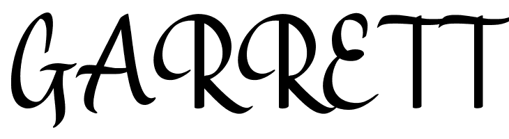 Visualist Demo  Free Fonts Download