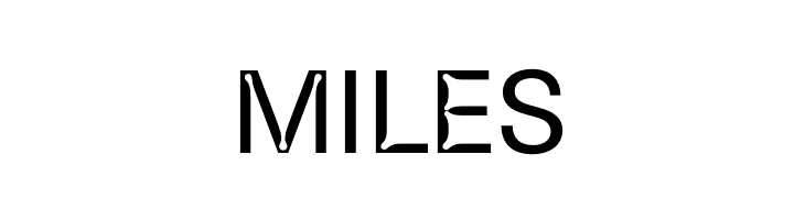 S10 Beehome Display  Free Fonts Download