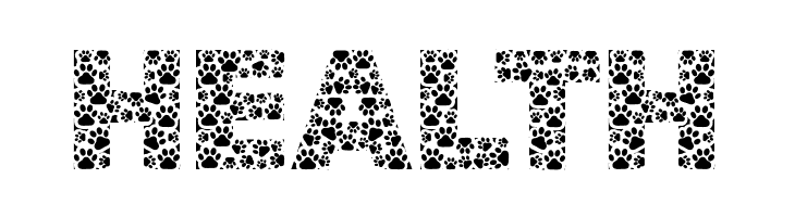 Dog Style  Free Fonts Download