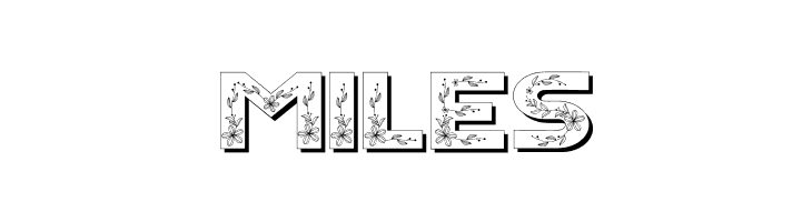 Floral Season Shadow  Free Fonts Download