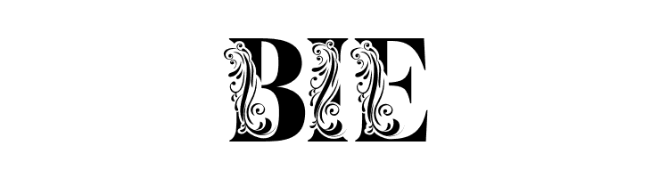 Flower Display Demo Regular  Free Fonts Download